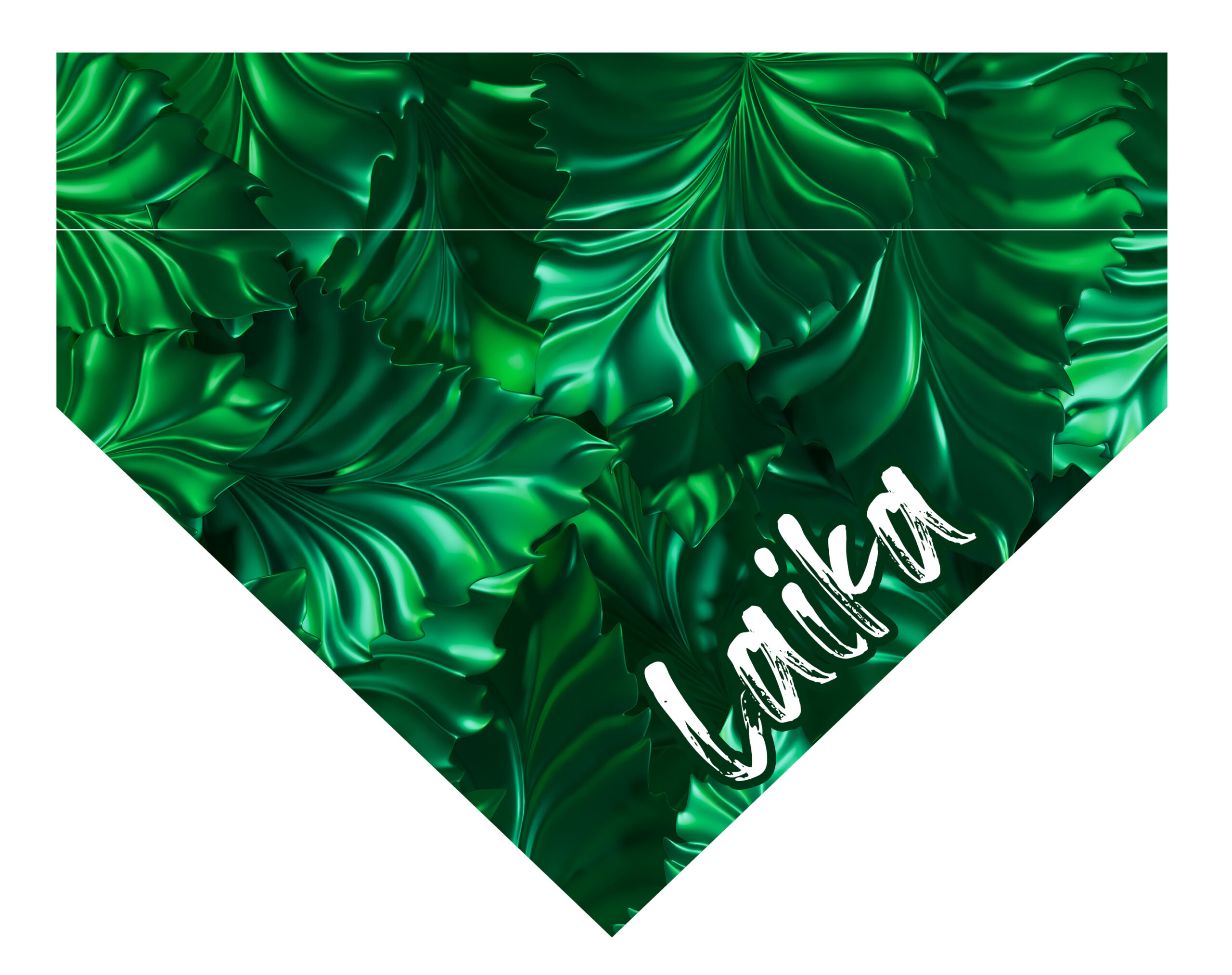 16_Plantas