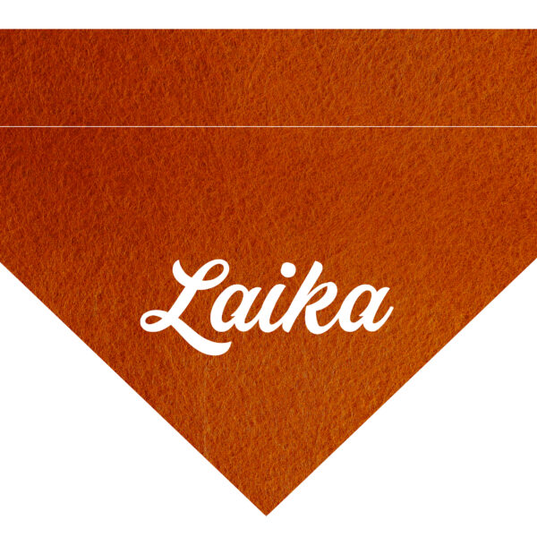 Pañuelo Personalizado Naranja