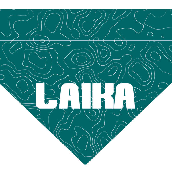 Pañuelo Personalizado Topo Azul