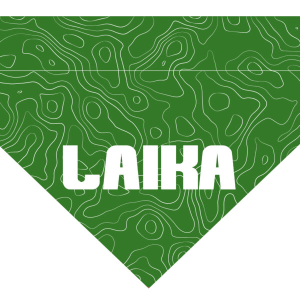 Pañuelo Personalizado Topo Verde