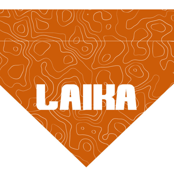 Pañuelo Personalizado Topo Naranja
